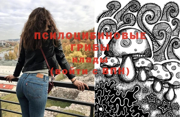 трава Армянск