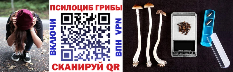 shop наркотические препараты  Черемхово  Псилоцибиновые грибы прущие грибы 